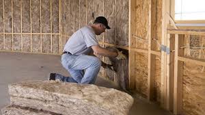 Best Basement Insulation  in Weston, MO